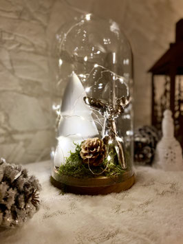 Teca Winter