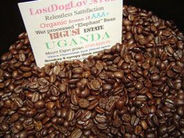 UGANDA "Bigusi" Estate AAA+ EP Organic