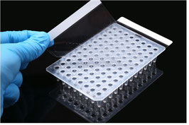 NEST - PCR-Verschlussfolie, standard, -20°C bis 110°C, VE = 100 St.