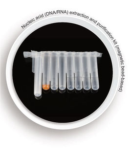 Extraktions und Reinigungs-Kit für Nukleinsäuren (DNA/RNA) auf Magnetbeadbasis, kompatibel zu 12-Kanal-Nukleinsäure-Extraktor, VE = 50 Aufreinigungen