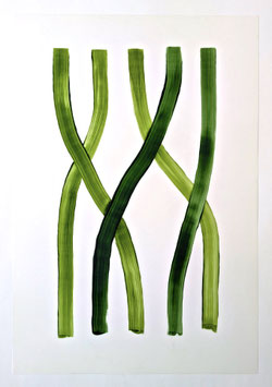 'Vine Drawing 1'