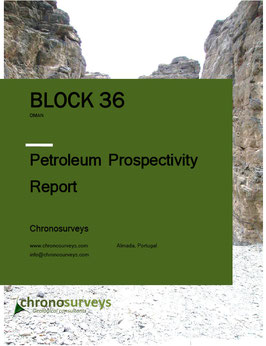 Block 36 prospectivity report
