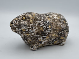 Meerschweinchen oder Murmeltier
