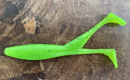 Kiwi - 10cm (4 Stück)