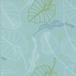 Olive You, Leaves