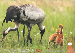 Monatsplaner Kranichimpressionen 2027