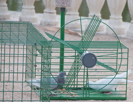 JAULA CAPTURA PALOMAS Y AVES DIVERSAS REF JAU-112