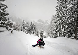 Postkarte: Schlittenfahren