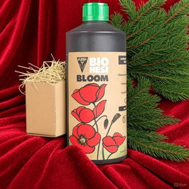 Aufzucht-Box 1 - Gute Laune & Aktivität