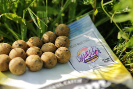 Dreambaits Boilie Vitella
