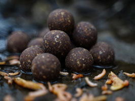 Dreambaits Boilie Super Krill