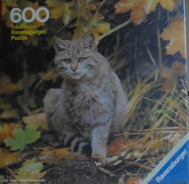 Katze im Herbstwald - 600 Teile GLV-4