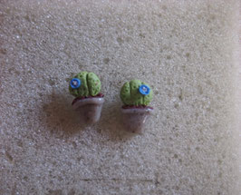 Ohrstecker Kaktus mit blauer Blüten