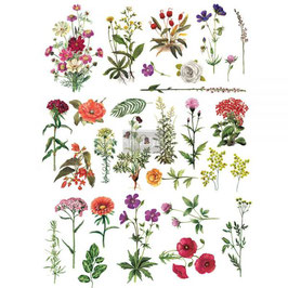 Redesign with Prima Decor Transferfolie "Flower Collection" - 61 x 89 cm