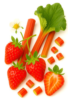 430g Erdbeer - Rhabarber Konfitüre extra