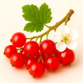 430g Rote Johannisbeer Gelee extra