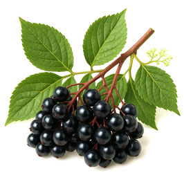 430g Holunder Konfitüre extra