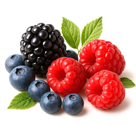 430g Waldfrucht Konfitüre extra