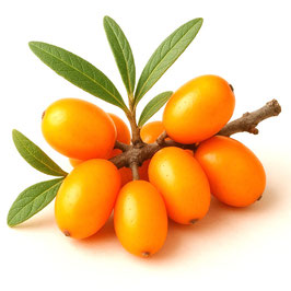 430g Sanddorn Konfitüre extra