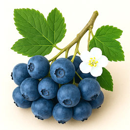 430g Heidelbeer Konfitüre extra