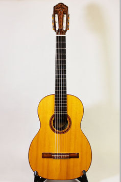 Di Giorgio Signorina No.16