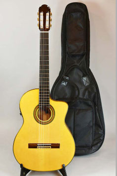 ARIA A-120F-CWE