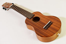 SOLD/KIWAYA KPS-1K