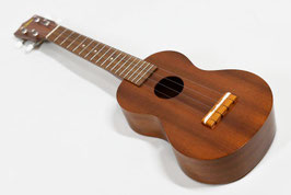 Famous FLS-60