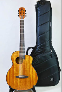 aNueNue aNN-M20E