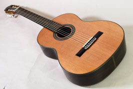 ARIA A-50C