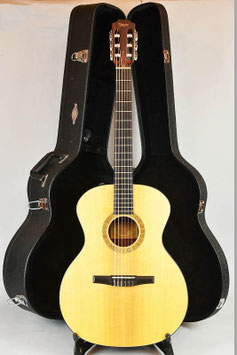 Taylor NS24e