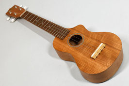 Famous FLS-11GC
