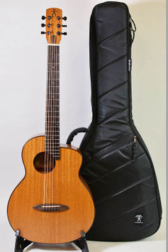 HOLD/aNueNue aNN-M20E /USED