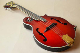 Wildwood WFM-16E TRD 【サンプル品】