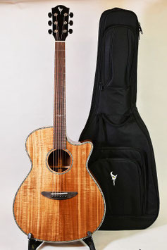 日本卸し売り 美品/DCT GR-641KCE/エレアコ/ギター/Martinギターケース