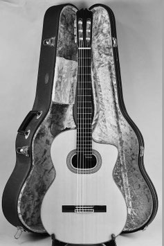 Takamine NPT-315