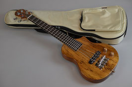 BigIsland EBU-SMP-N Ele.Mini Bass Spalted Maple