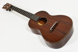 Martin Style-1T 【1960年代】