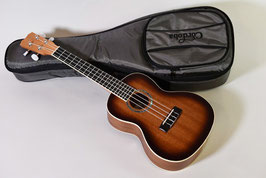 Cordoba 15CM-E SB CONCERT