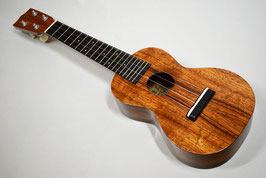 tkitki ECO-S/E+H.Koa