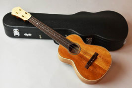 Hongoh Guitars Concert 390k