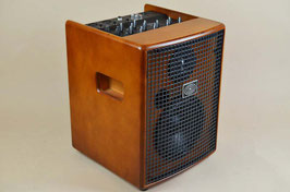 SChERtLER JAM 100w / Wood AMP