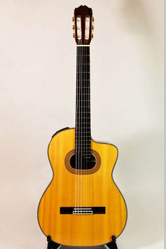 Takamine NPT-315