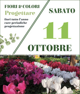 11/10 - PROGETTARE INSIEME