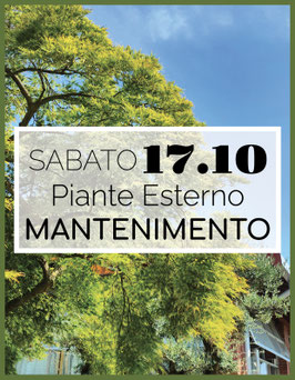 11/7 - MANTENIMENTO