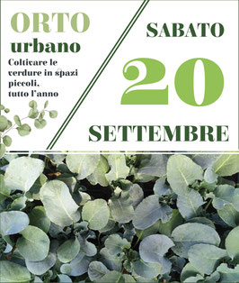 20/09 - VERDURE in BALCONE