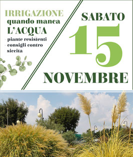15/11 - IRRIGAZIONE CORRETTA