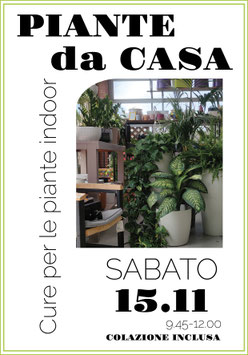 15/11 - PIANTE DA CASA
