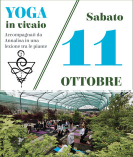 11/10 - YOGA IN VIVAIO
