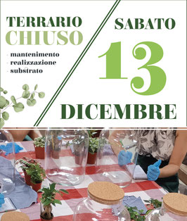 13/12 - TERRARIO CHIUSO